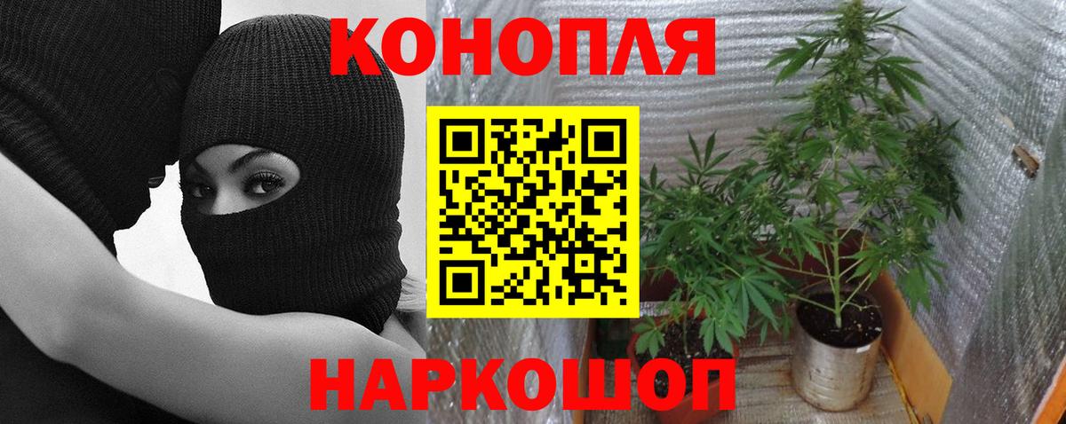 Бошки Шишки Amnesia Красногорск